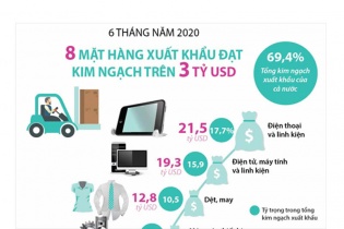 [Infographic] 6 tháng năm 2020, có 8 mặt hàng xuất khẩu trên 3 tỷ USD