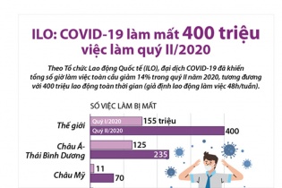 [Infographic] ILO: COVID-19 làm mất 400 triệu việc làm quý II/2020