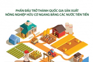 [Infographic] Việt Nam phấn đấu sản xuất nông nghiệp hữu cơ ngang bằng các nước tiên tiến