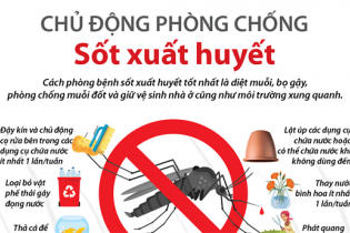 [Infographic] Chủ động phòng chống bệnh sốt xuất huyết