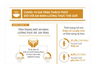 [Infographic] COVID-19 gia tăng thách thức đối với an ninh lương thực thế giới