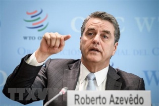WTO đang phải đối mặt với áp lực khủng khiếp
