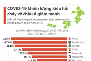 [Infographic] COVID-19 khiến lượng kiều hối chảy về châu Á giảm mạnh