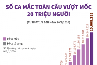 [Infographic] Dịch COVID-19: Số ca mắc toàn cầu vượt mốc 20 triệu người