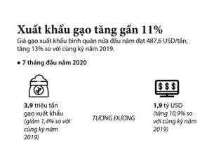 [Infographic] 7 tháng, xuất khẩu gạo tăng gần 11%