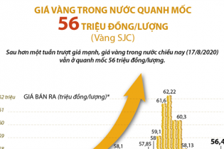 [Infographic] Giá vàng trong nước giao dịch quanh mốc 56 triệu đồng/lượng