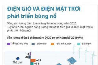 [Infographic] Điện gió và điện mặt trời phát triển bùng nổ