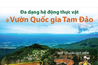 [Infographic] Đa dạng hệ động thực vật ở Vườn Quốc gia Tam Đảo
