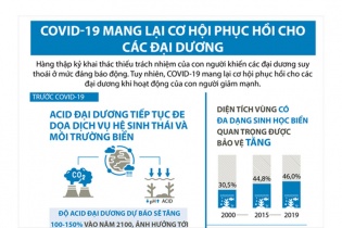 [Infographic] COVID-19 mang lại cơ hội phục hồi cho các đại dương