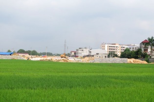 Chuyển mục đích sử dụng gần 111 ha đất trồng lúa sang đất phi nông nghiệp