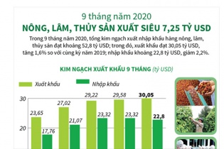 [Infographic] 9 tháng năm 2020, nông, lâm, thủy sản xuất siêu 7,25 tỷ USD