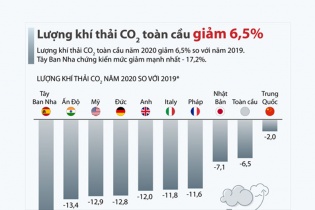 [Infographic] Lượng khí thải CO­2 toàn cầu giảm 6,5%