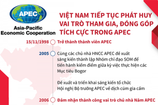 [Infographic] Việt Nam tiếp tục phát huy vai trò tham gia, đóng góp tích cực trong APEC