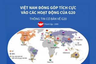 [Infographic] Việt Nam đóng góp tích cực vào các hoạt động của G20