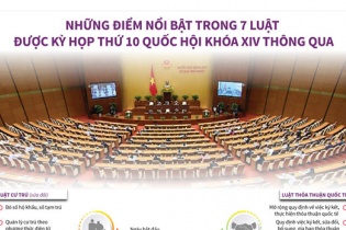 [Infographic] Những điểm nổi bật trong 7 Luật vừa được Quốc hội thông qua