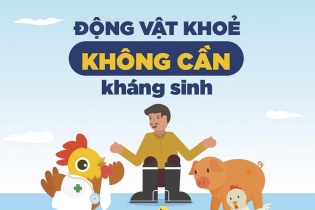 Việt Nam nỗ lực đẩy mạnh hoạt động phòng chống kháng kháng sinh