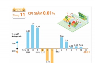 [Infographic] CPI tháng 11/2020 giảm 0,01%
