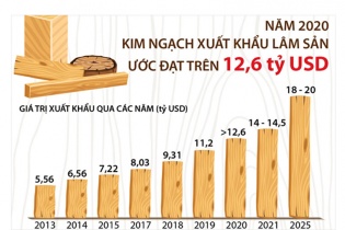 [Infographic] Năm 2020, kim ngạch xuất khẩu lâm sản ước đạt trên 12,6 tỷ USD