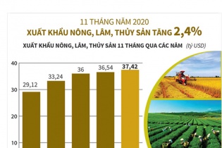[Infographic] 11 tháng năm 2020, xuất khẩu nông, lâm, thủy sản tăng 2,4%