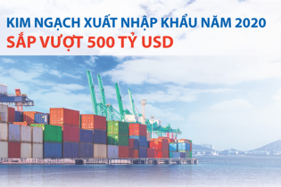 [Infographic] Kim ngạch xuất nhập khẩu năm 2020 sắp vượt 500 tỷ USD