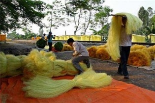 Phát triển sản phẩm OCOP - hướng đi phù hợp với nông thôn mới Bắc Kạn