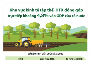 [Infographic] Khu vực kinh tế tập thể, Hợp tác xã đóng góp trực tiếp khoảng 4,8% vào GDP của cả nước 