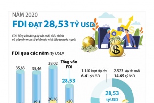 [Infographic] Thu hút FDI năm 2020 đạt 28,53 tỷ USD