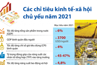 [Infographic] Các chỉ tiêu kinh tế - xã hội chủ yếu năm 2021