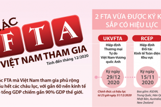 [Infographic] Các FTA Việt Nam đã tham gia