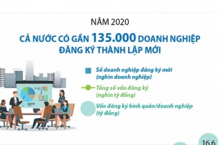 [Infographic] Năm 2020, cả nước có gần 135 nghìn doanh nghiệp đăng ký thành lập mới 
