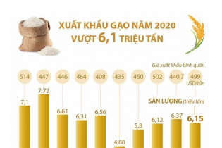[Infographic] Xuất khẩu gạo cả năm 2020 vượt 6,1 triệu tấn