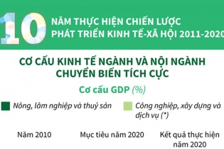 [Infographic] Cơ cấu kinh tế ngành và nội ngành chuyển biến tích cực trong giai đoạn 2011 - 2020