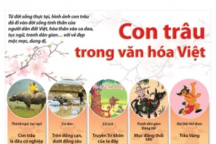 [Infographic] Con trâu trong văn hóa Việt