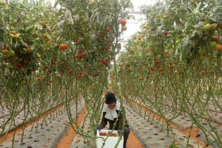 Ban hành Kế hoạch cơ cấu lại ngành nông nghiệp giai đoạn 2021 - 2025