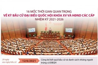 [Infographic] 16 mốc thời gian quan trọng về kỳ bầu cử đại biểu Quốc hội và HĐND các cấp