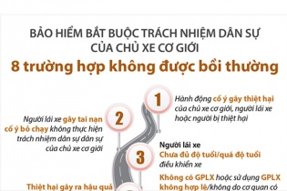 [Infographic] Bảo hiểm bắt buộc trách nhiệm dân sự của chủ xe cơ giới: 8 trường hợp không được bồi thường