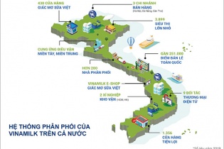 Tổng giá trị của 50 thương hiệu dẫn đầu Việt Nam 2020: Vinamilk chiếm hơn 20%