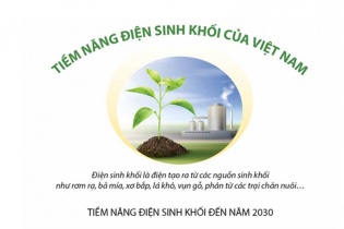 [Infographic] Tiềm năng điện sinh khối của Việt Nam