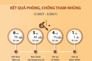 [Infographic] Kết quả phòng, chống tham nhũng tính từ đầu năm