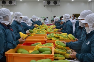 Thủ tướng phê duyệt Đề án phát triển ngành chế biến rau quả giai đoạn 2021 - 2030