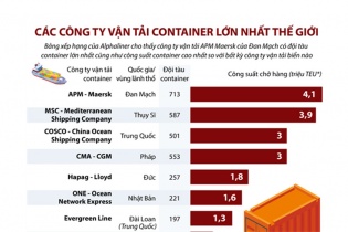 [Infographic] Các công ty vận tải container lớn nhất thế giới