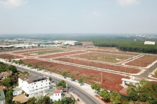 Trong năm 2021 dòng tiền đầu tư đang chảy về đâu?