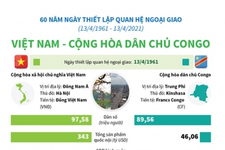 [Infographic] Quan hệ Việt Nam - Cộng hòa dân chủ Congo