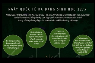 [Infographic] Ngày Quốc tế Đa dạng sinh học 22/5: "Chúng ta là một phần của giải pháp"