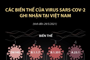 [Infographic] Các biến thể của virus SARS-CoV-2 ghi nhận tại Việt Nam