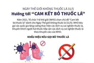 [Infographic] Ngày Thế giới không thuốc lá (31/5): Hướng tới “Cam kết bỏ thuốc lá”
