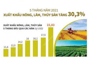 [Infographic] 5 tháng năm 2021, xuất khẩu nông, lâm, thủy sản tăng 30,3%