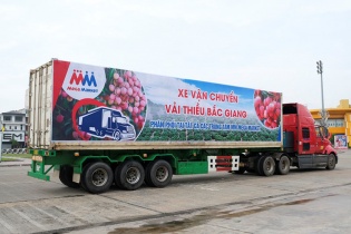 MM Mega Market chung tay tiêu thụ hàng nông sản, cùng nông dân vượt qua đại dịch