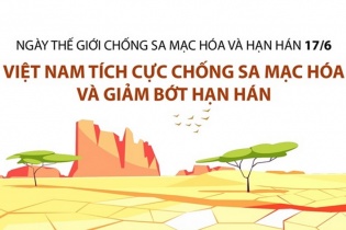 [Infographic] Ngày thế giới chống sa mạc hóa và hạn hán 17/6: Việt Nam hướng tới kết quả "kép"
