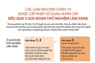 [Infographic] Các loại vaccine COVID-19 bắt buộc 3 giai đoạn thử nghiệm lâm sàng